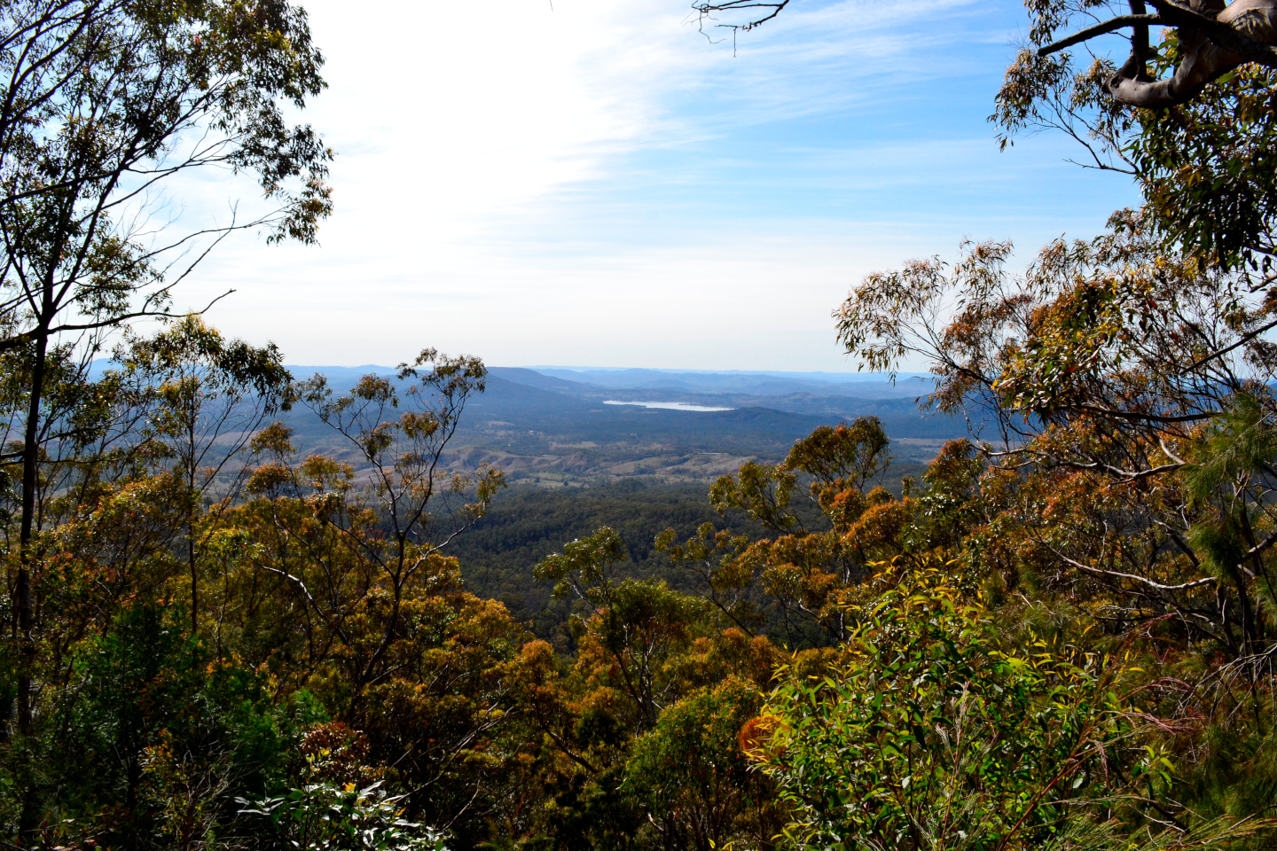 Hiking: Mount Cordeaux - Berlin to Brisbane